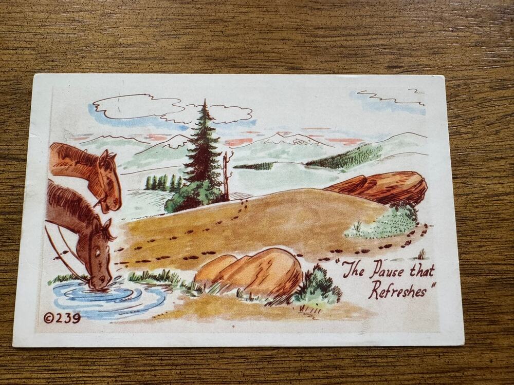 Vintage Kromekolor Comic Postcard Horses The Pause That Refreshes Unused